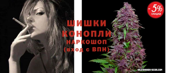 СК Белокуриха
