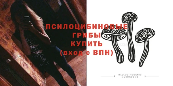СК Белокуриха