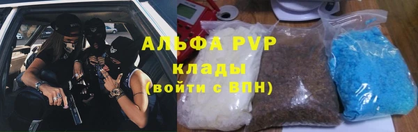СК Белокуриха