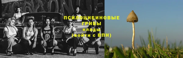 СК Белокуриха