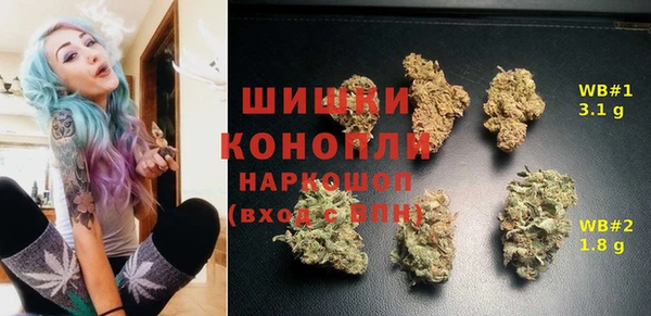 СК Белокуриха