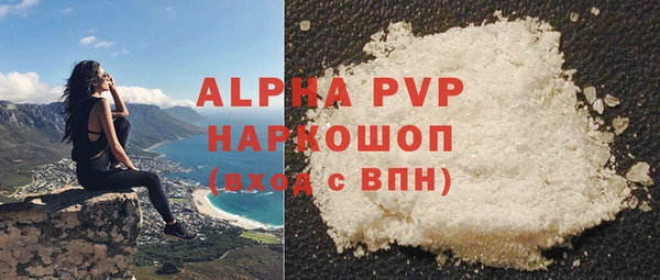 СК Белокуриха